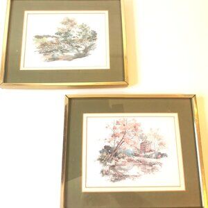 A Pair of Botanical Vintage Framed Prints